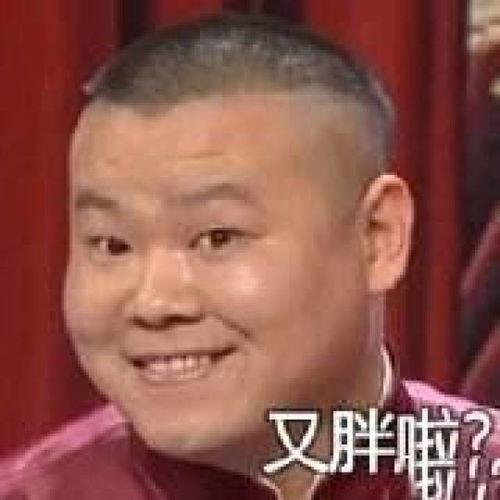 岳云鹏表情包大全,笑点满满，欢乐无限