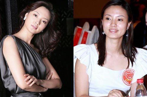 央视女主播出书,揭秘幕后人生